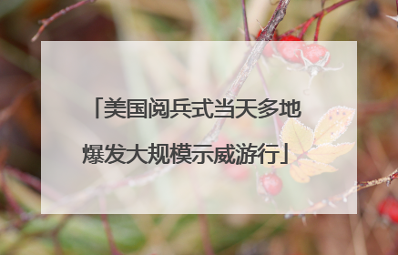 美国阅兵式当天多地爆发大规模示威游行