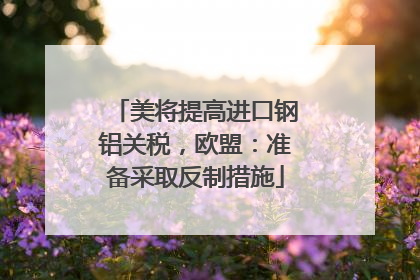 美将提高进口钢铝关税，欧盟：准备采取反制措施