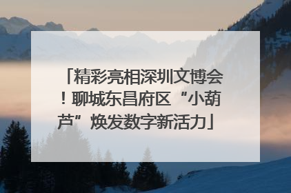 精彩亮相深圳文博会！聊城东昌府区“小葫芦”焕发数字新活力