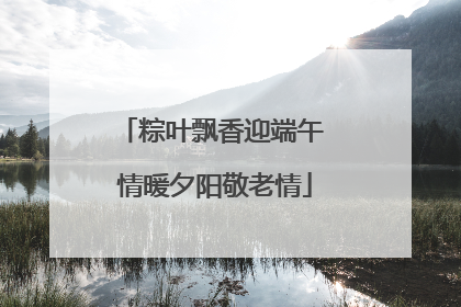 粽叶飘香迎端午 情暖夕阳敬老情