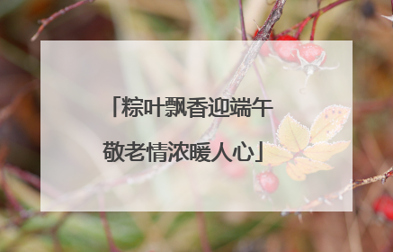 粽叶飘香迎端午 敬老情浓暖人心