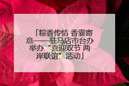 粽香传情 香囊寄意——驻马店市台办举办“喜迎双节 两岸联谊”活动
