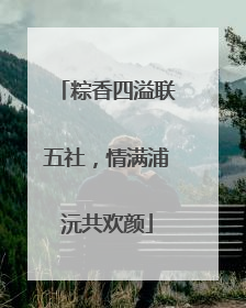 粽香四溢联五社，情满浦沅共欢颜