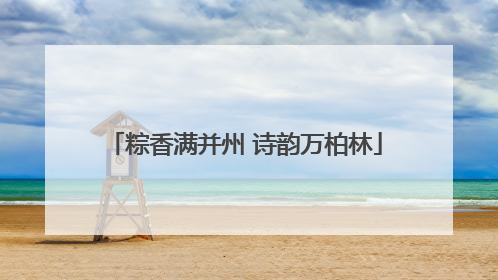 粽香满并州 诗韵万柏林