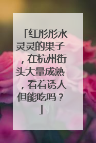 红彤彤水灵灵的果子，在杭州街头大量成熟，看着诱人但能吃吗？