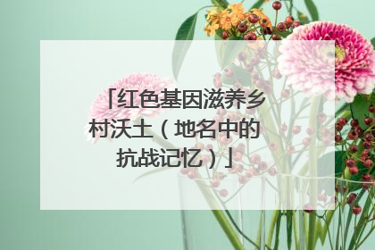 红色基因滋养乡村沃土（地名中的抗战记忆）