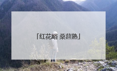 红花峪 桑葚熟