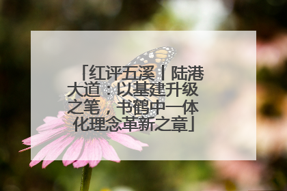 红评五溪丨陆港大道：以基建升级之笔，书鹤中一体化理念革新之章