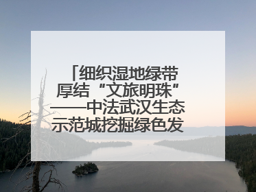 细织湿地绿带 厚结“文旅明珠”——中法武汉生态示范城挖掘绿色发展新动能