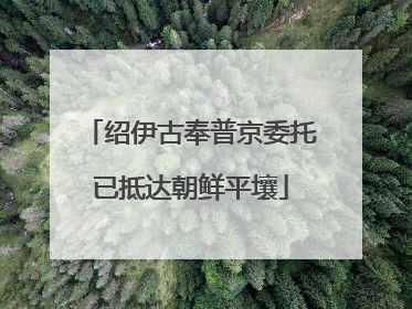 绍伊古奉普京委托已抵达朝鲜平壤