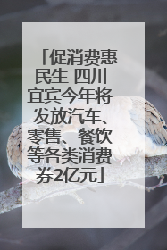 促消费惠民生 四川宜宾今年将发放汽车、零售、餐饮等各类消费券2亿元