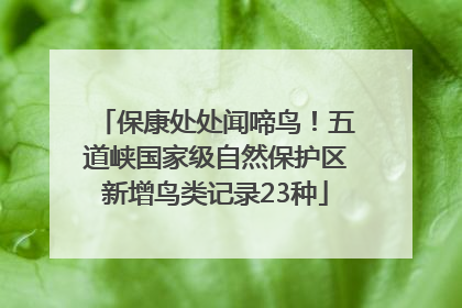 保康处处闻啼鸟！五道峡国家级自然保护区新增鸟类记录23种