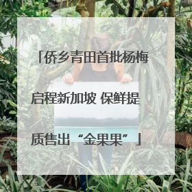 侨乡青田首批杨梅启程新加坡 保鲜提质售出“金果果”