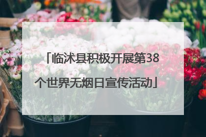 临沭县积极开展第38个世界无烟日宣传活动