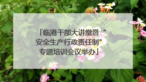 临港干部大讲堂暨“安全生产行政责任制”专题培训会议举办