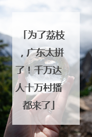 为了荔枝，广东太拼了！千万达人十万村播都来了