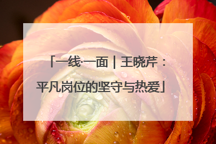 一线·一面｜王晓芹：平凡岗位的坚守与热爱