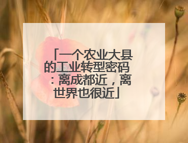 一个农业大县的工业转型密码：离成都近，离世界也很近
