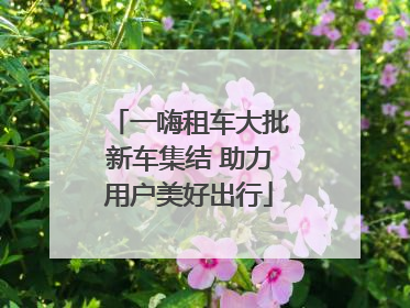 一嗨租车大批新车集结 助力用户美好出行