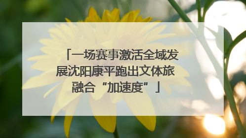 一场赛事激活全域发展沈阳康平跑出文体旅融合“加速度”