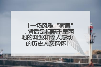 一场风雅“荷展”，背后是相隔千里两地的渊源和令人感动的历史人文情怀