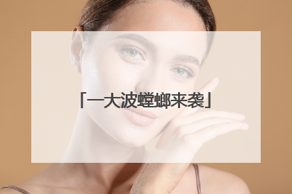 一大波螳螂来袭