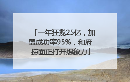 一年狂揽25亿，加盟成功率95%，和府捞面正打开想象力