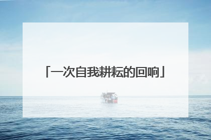 一次自我耕耘的回响