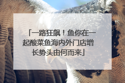 一路狂飙！鱼你在一起酸菜鱼海内外门店增长势头由何而来