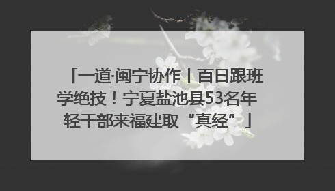 一道·闽宁协作丨百日跟班学绝技！宁夏盐池县53名年轻干部来福建取“真经”