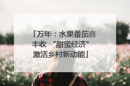 万年：水果番茄喜丰收 “甜蜜经济”激活乡村新动能