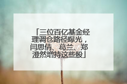 三位百亿基金经理调仓路径曝光，闫思倩、葛兰、郑澄然增持这些股