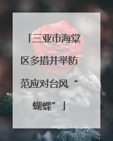 三亚市海棠区多措并举防范应对台风“蝴蝶”
