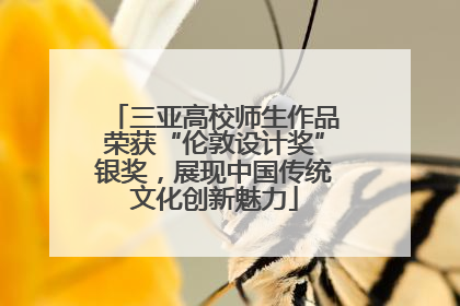 三亚高校师生作品荣获“伦敦设计奖”银奖，展现中国传统文化创新魅力