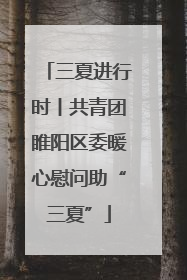 三夏进行时丨共青团睢阳区委暖心慰问助“三夏”