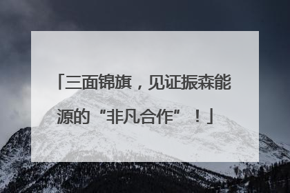 三面锦旗，见证振森能源的“非凡合作”！