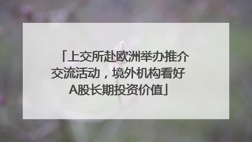 上交所赴欧洲举办推介交流活动，境外机构看好A股长期投资价值