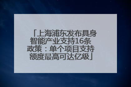 上海浦东发布具身智能产业支持16条政策：单个项目支持额度最高可达亿级