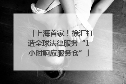 上海首家！徐汇打造全球法律服务“1小时响应服务仓”