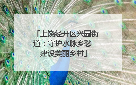 上饶经开区兴园街道：守护水脉乡愁 建设美丽乡村