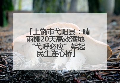 上饶市弋阳县：晴雨棚20天高效落地 “弋呼必应”架起民生连心桥