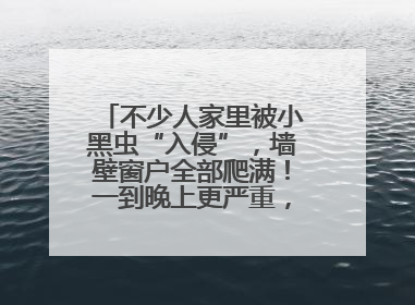 不少人家里被小黑虫“入侵”，墙壁窗户全部爬满！一到晚上更严重，还有一股臭味
