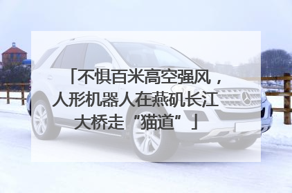 不惧百米高空强风，人形机器人在燕矶长江大桥走“猫道”