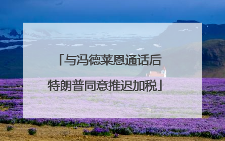 与冯德莱恩通话后 特朗普同意推迟加税