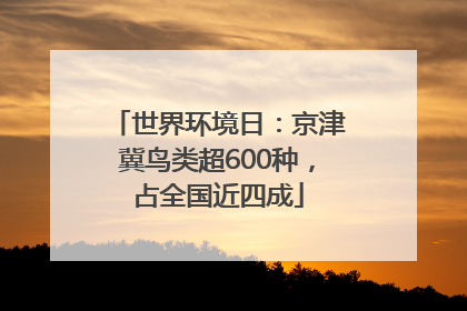 世界环境日：京津冀鸟类超600种，占全国近四成