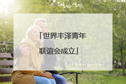 世界丰泽青年联谊会成立