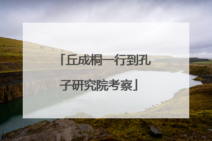 丘成桐一行到孔子研究院考察