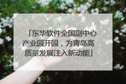 东华软件全国副中心产业园开园，为青岛高质量发展注入新动能