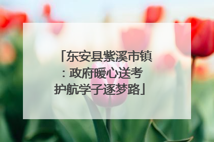 东安县紫溪市镇：政府暖心送考 护航学子逐梦路