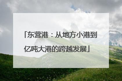 东营港：从地方小港到亿吨大港的跨越发展